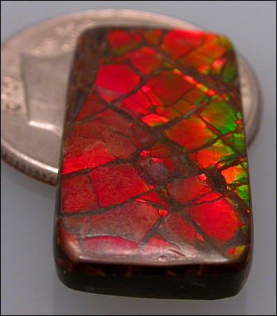 AMMOLITE DESIGNER CABOCHON (Canada) – 8.30 ct.